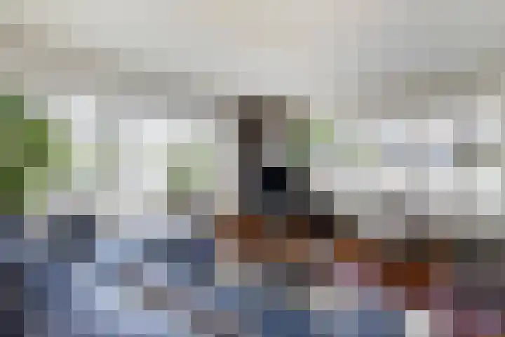 Kupersleantsje 1003 Terherne thumbnail 19