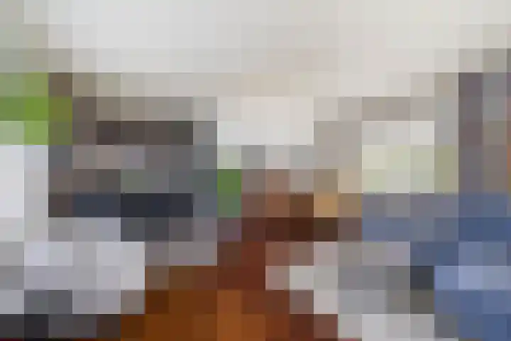 Kupersleantsje 1003 Terherne thumbnail 20