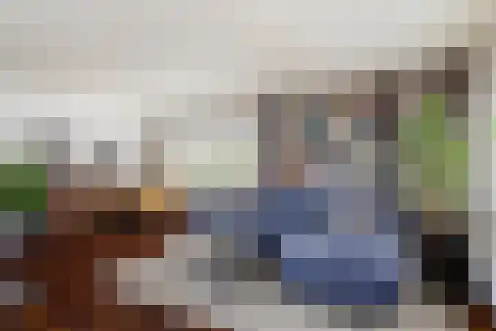 Kupersleantsje 1003 Terherne thumbnail 21