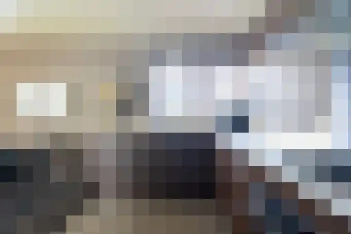 Kupersleantsje 1003 Terherne thumbnail 24