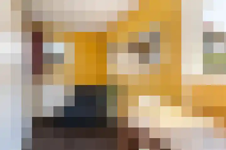 Kupersleantsje 1003 Terherne thumbnail 25