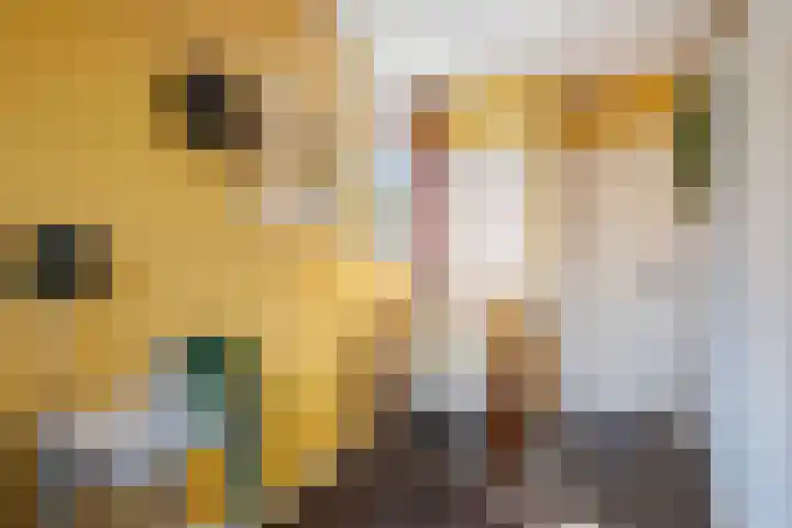 Kupersleantsje 1003 Terherne thumbnail 26