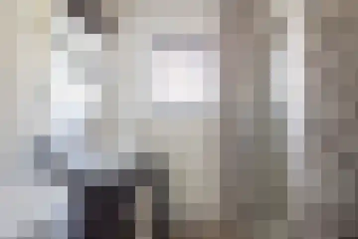 Kupersleantsje 1003 Terherne thumbnail 30