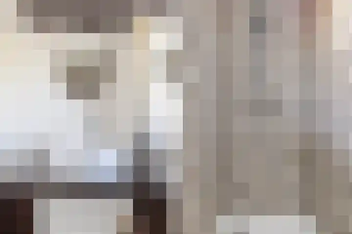 Kupersleantsje 1003 Terherne thumbnail 31