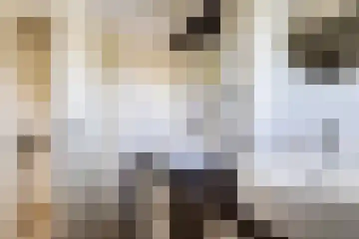 Kupersleantsje 1003 Terherne thumbnail 32