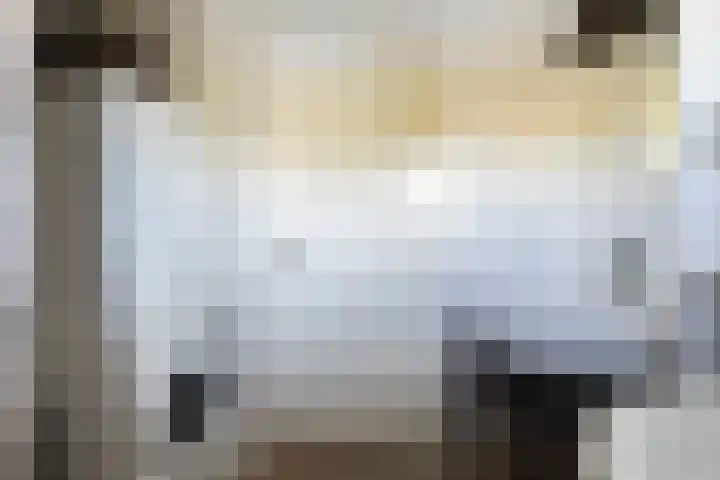 Kupersleantsje 1003 Terherne thumbnail 33