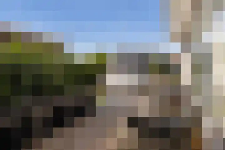 Kupersleantsje 1003 Terherne thumbnail 34