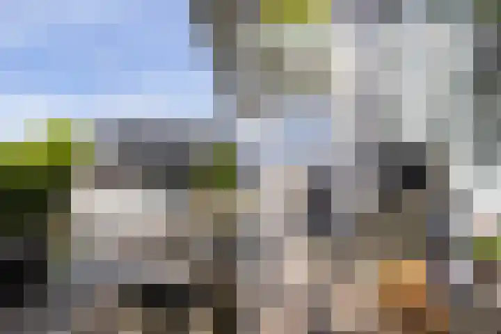 Kupersleantsje 1003 Terherne thumbnail 35