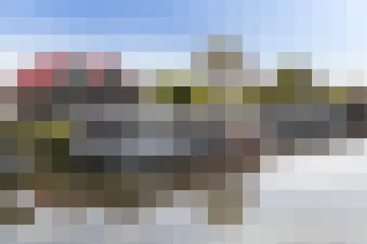 Kupersleantsje 1003 Terherne thumbnail 36