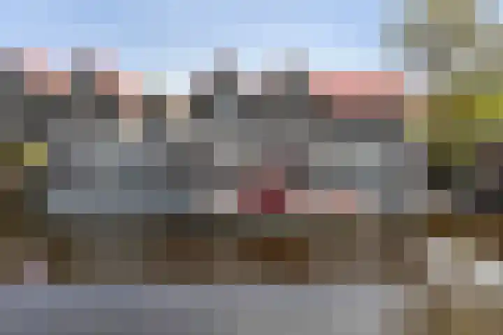 Kupersleantsje 1003 Terherne thumbnail 4