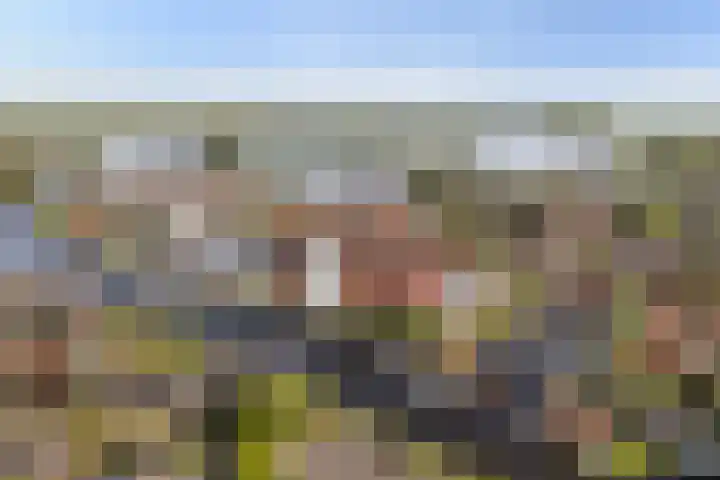 Kupersleantsje 1003 Terherne thumbnail 47