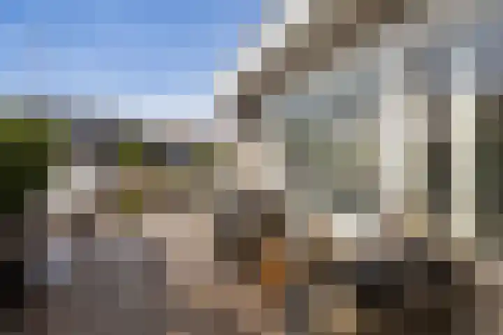 Kupersleantsje 1003 Terherne thumbnail 7