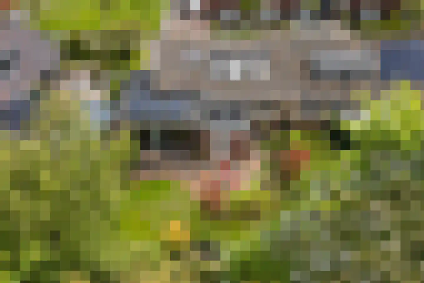 Kupersleantsje 22 Terherne thumbnail 12