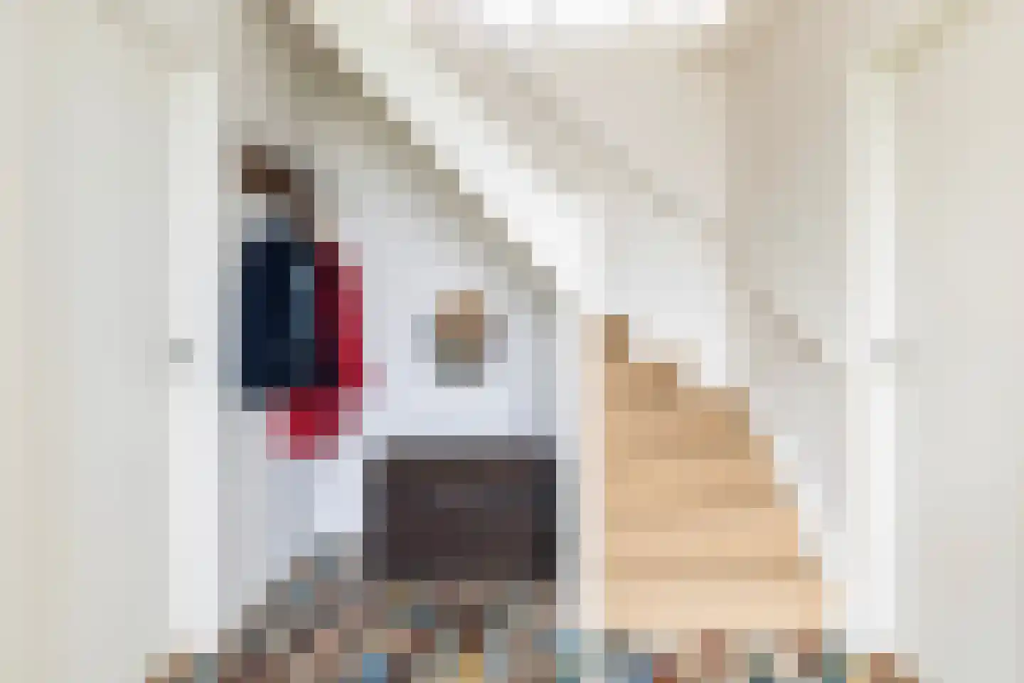 Kupersleantsje 22 Terherne thumbnail 15
