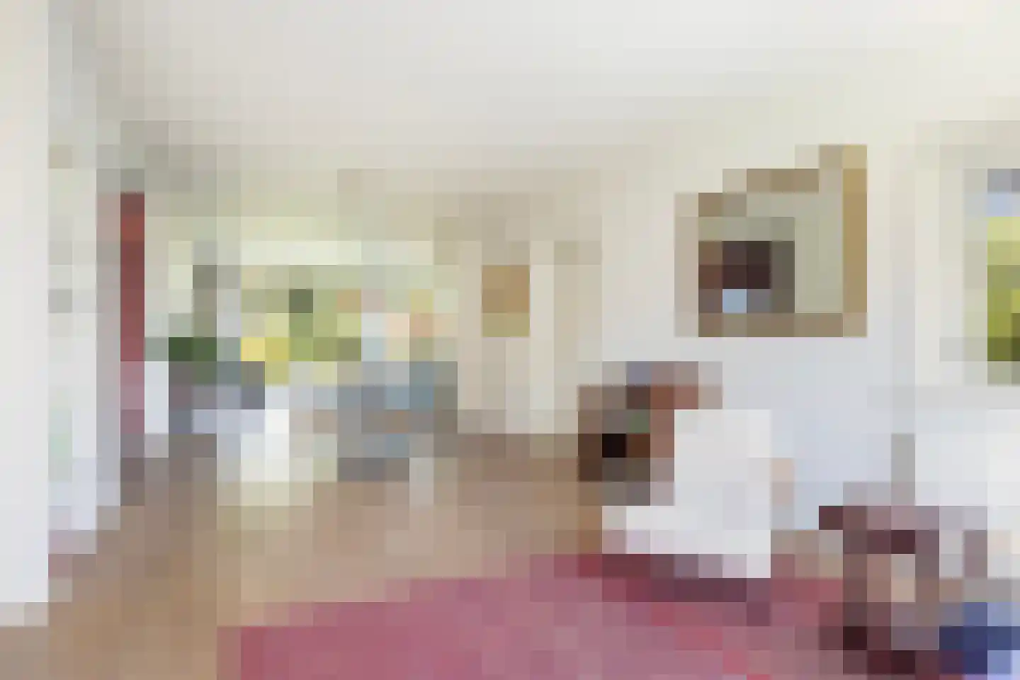 Kupersleantsje 22 Terherne thumbnail 18