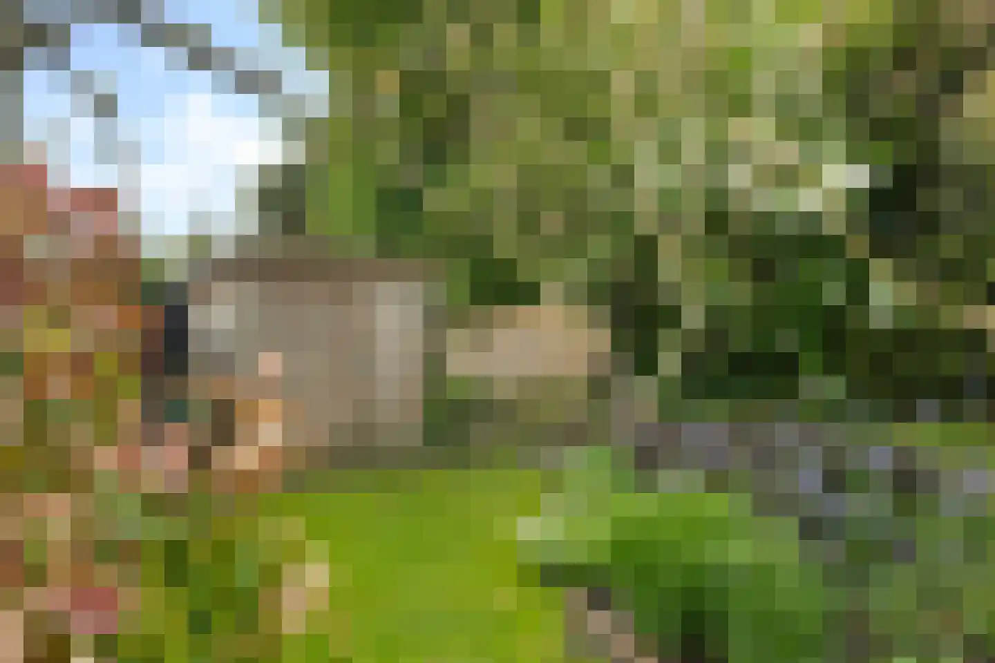 Kupersleantsje 22 Terherne thumbnail 32
