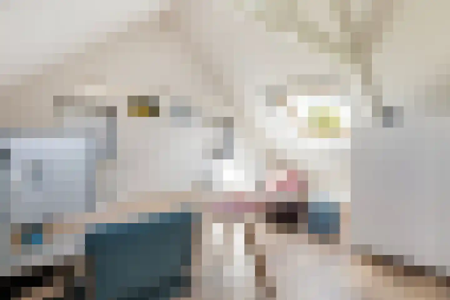 Kupersleantsje 22 Terherne thumbnail 42
