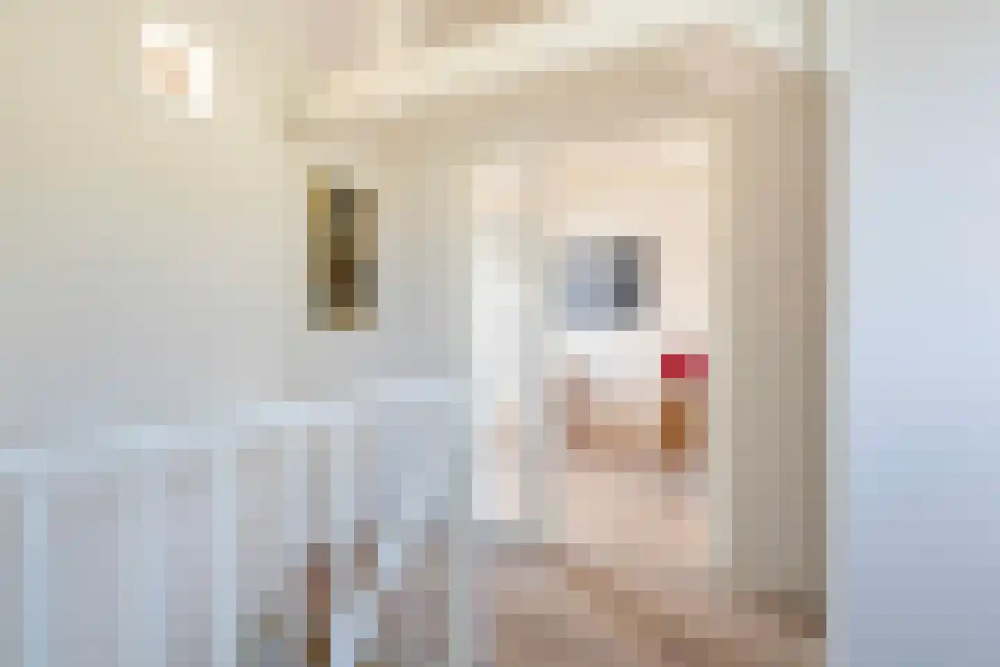 Kupersleantsje 22 Terherne thumbnail 44