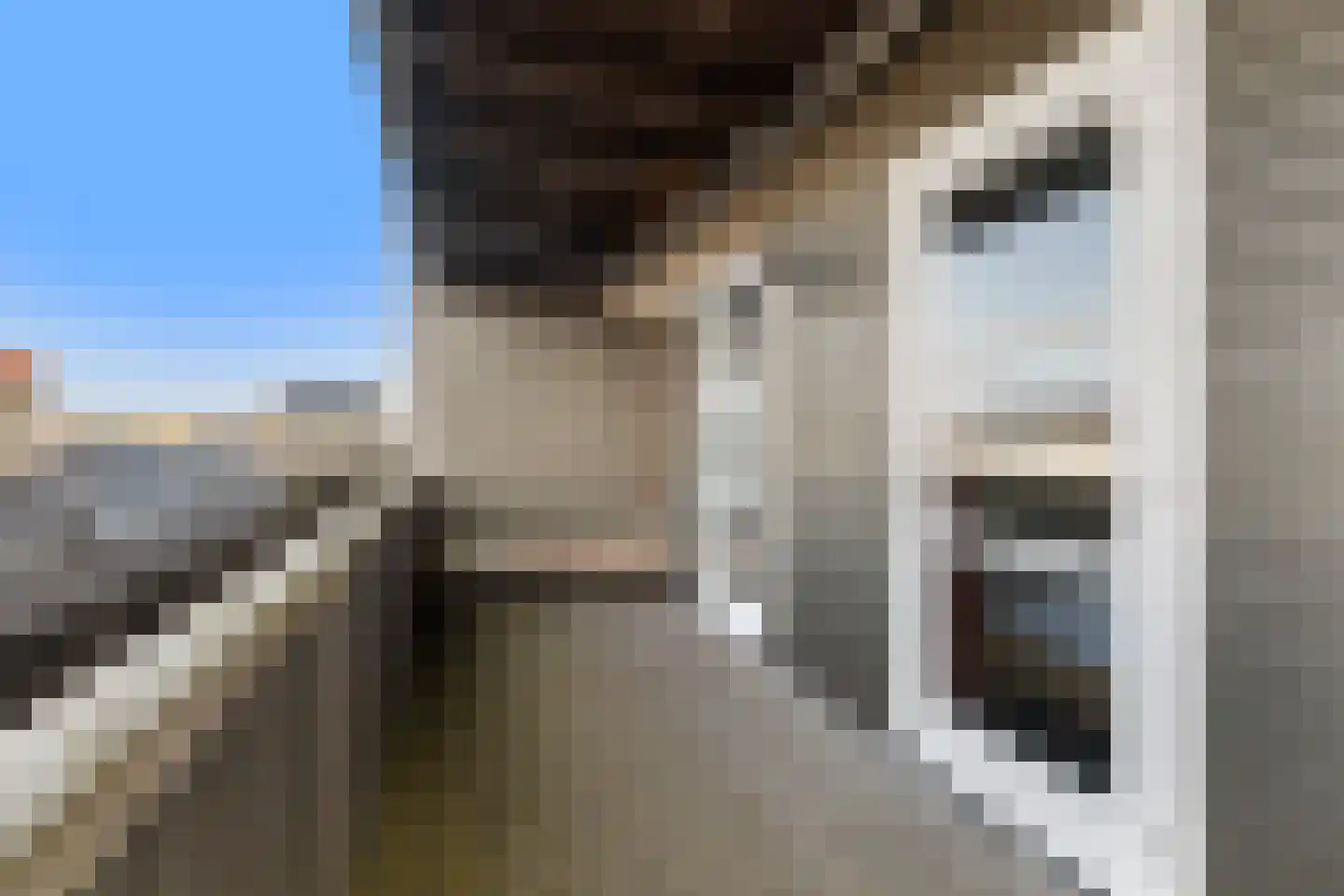 Kupersleantsje 7 CD Terherne thumbnail 15