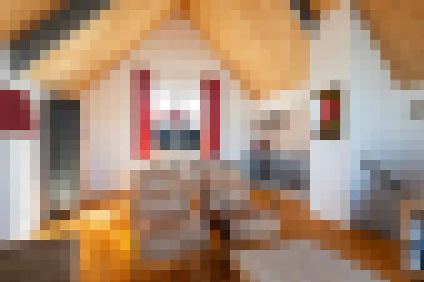Kupersleantsje 7 CD Terherne thumbnail 20