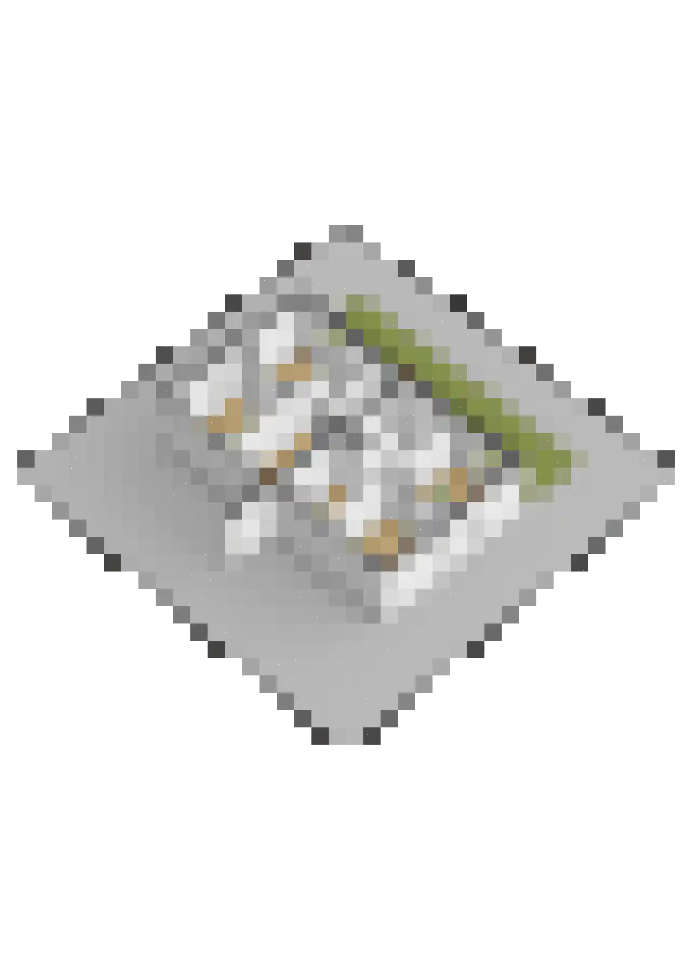 Kupersleantsje 7 CD Terherne thumbnail 52