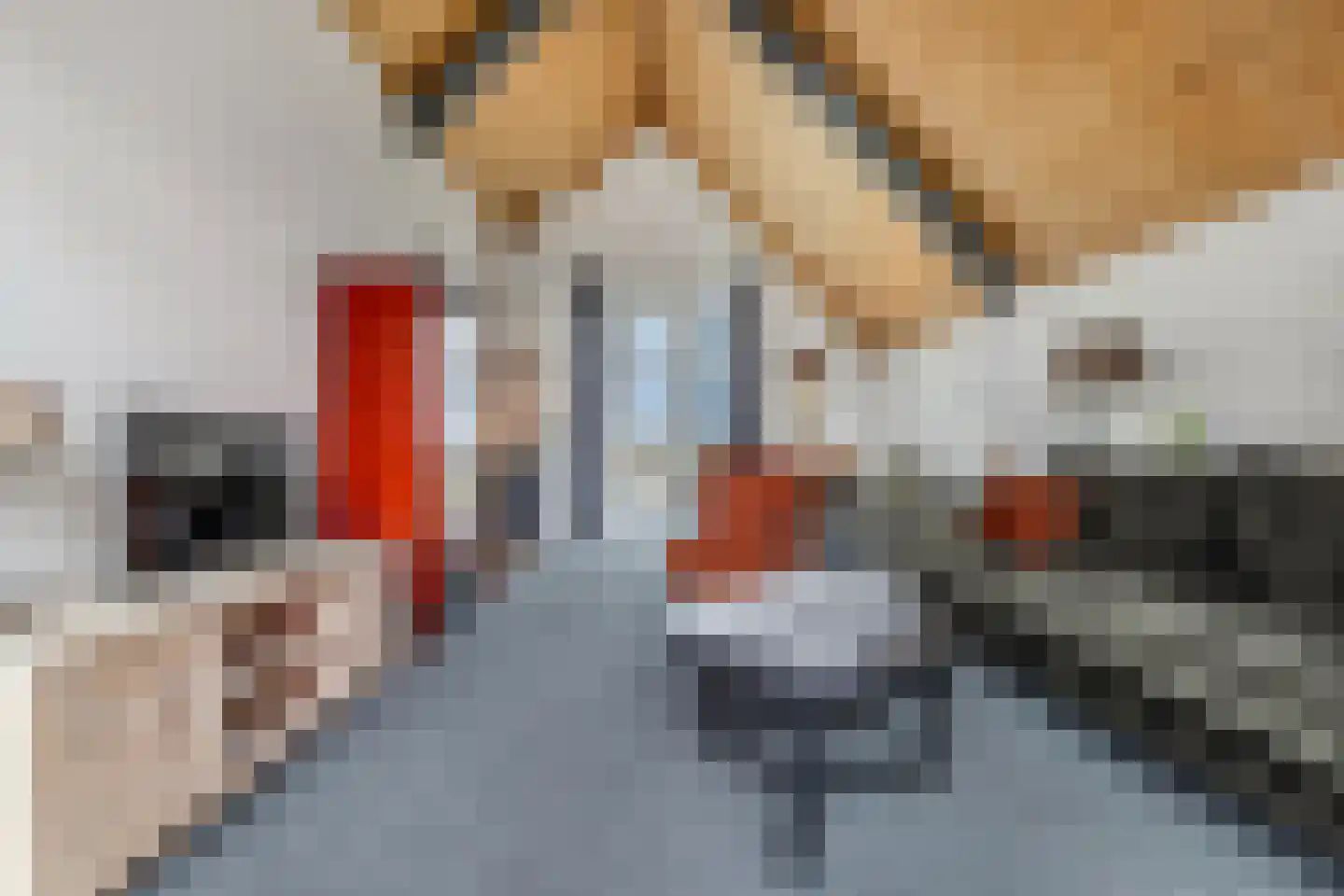 Kupersleantsje 7 LM Terherne thumbnail 37