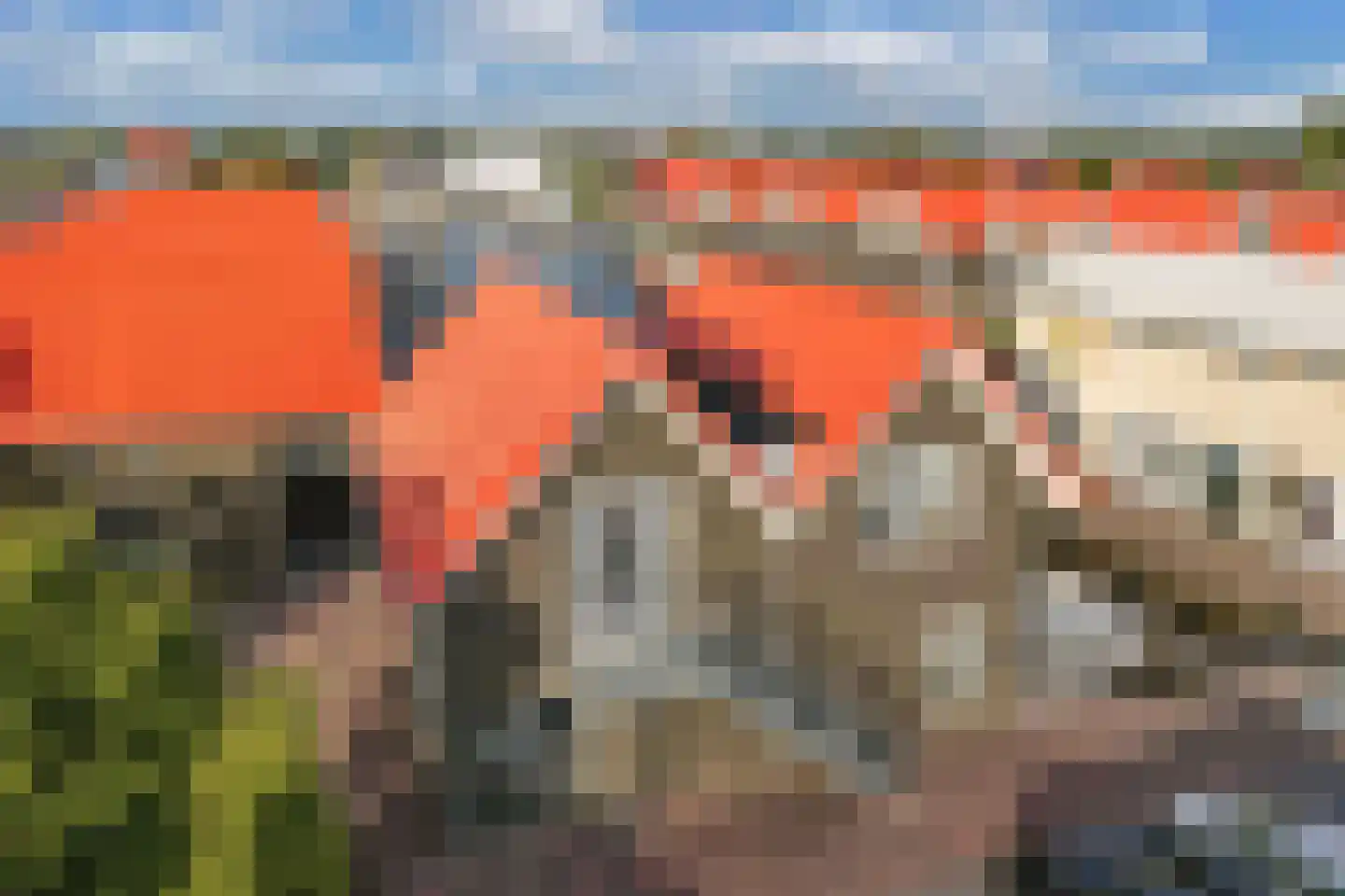 Kupersleantsje 7 LM Terherne thumbnail 4