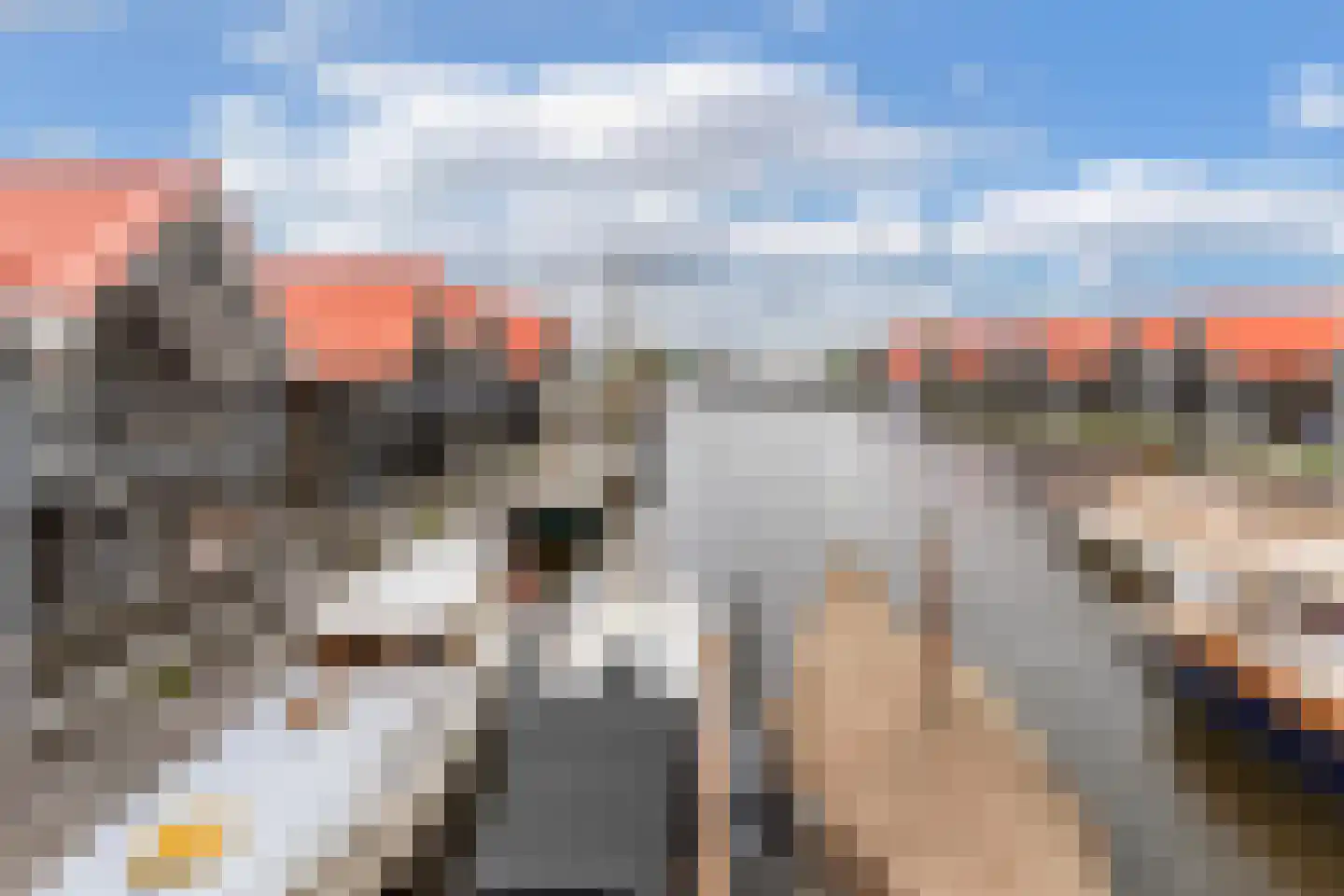 Kupersleantsje 7 LM Terherne thumbnail 47