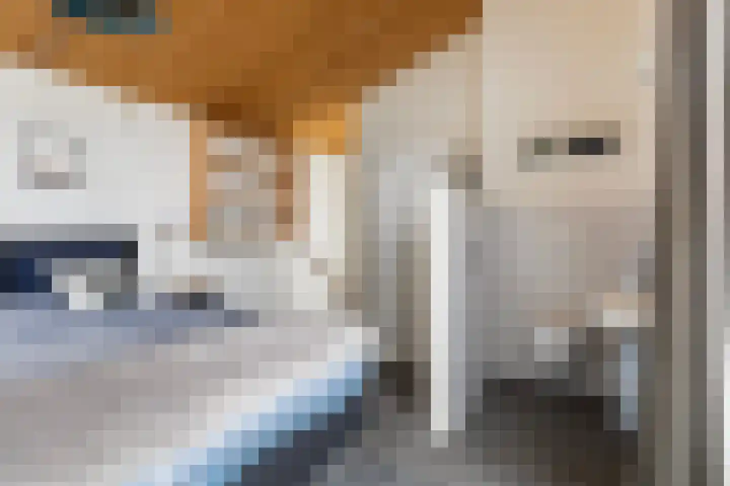 Kupersleantsje 7 U Terherne thumbnail 32