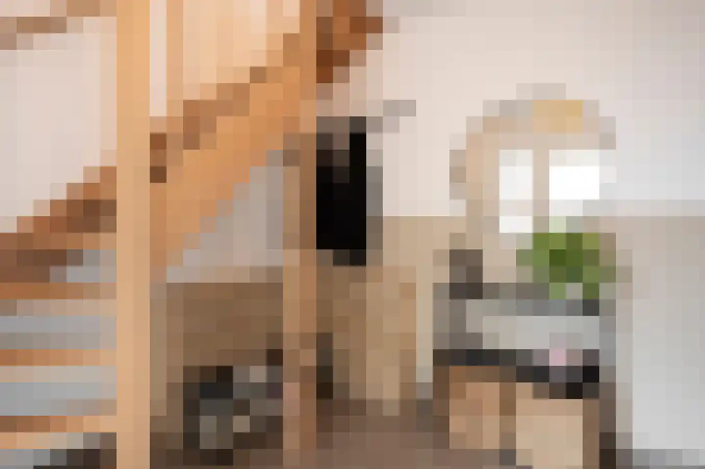 Kuppelkovenderstraat 26 Grevenbicht thumbnail 14