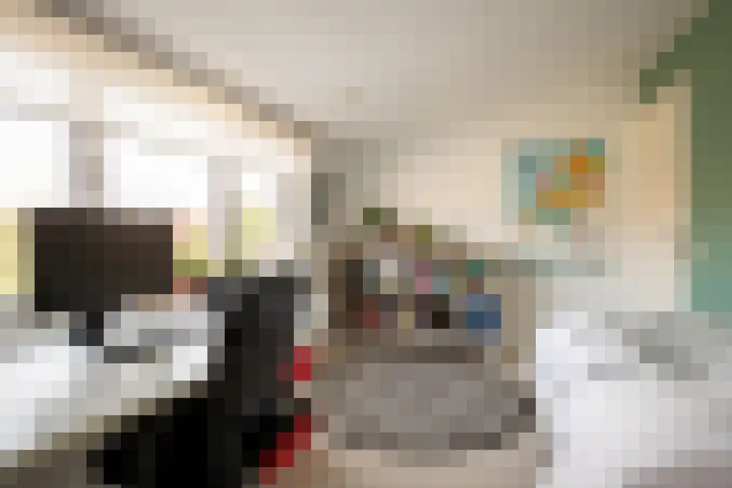 Kuppelkovenderstraat 4 Grevenbicht thumbnail 21
