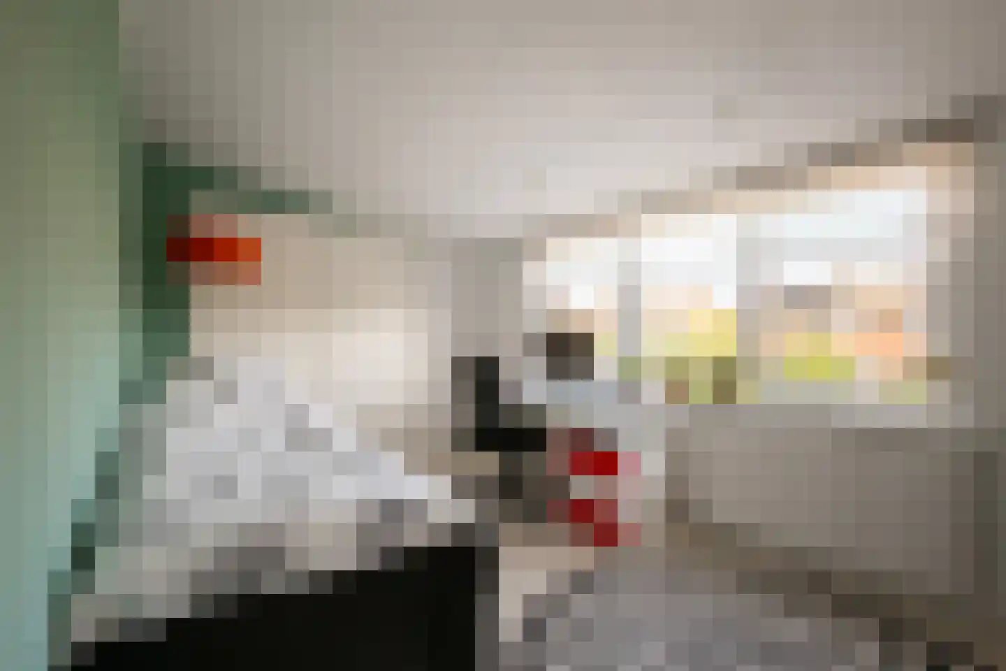 Kuppelkovenderstraat 4 Grevenbicht thumbnail 22