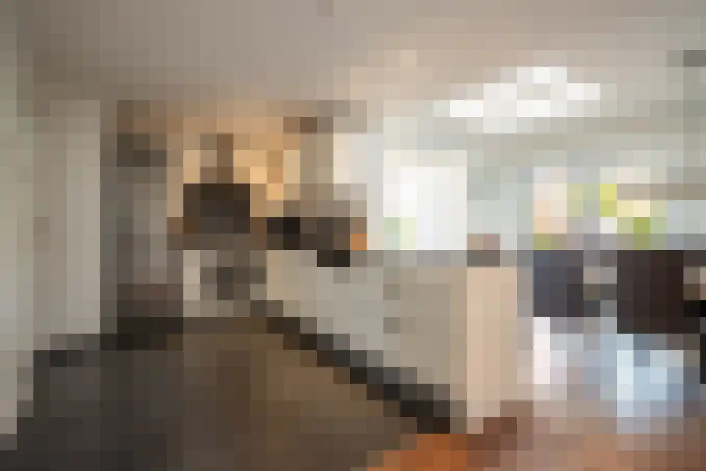 Kuppelkovenderstraat 4 Grevenbicht thumbnail 7