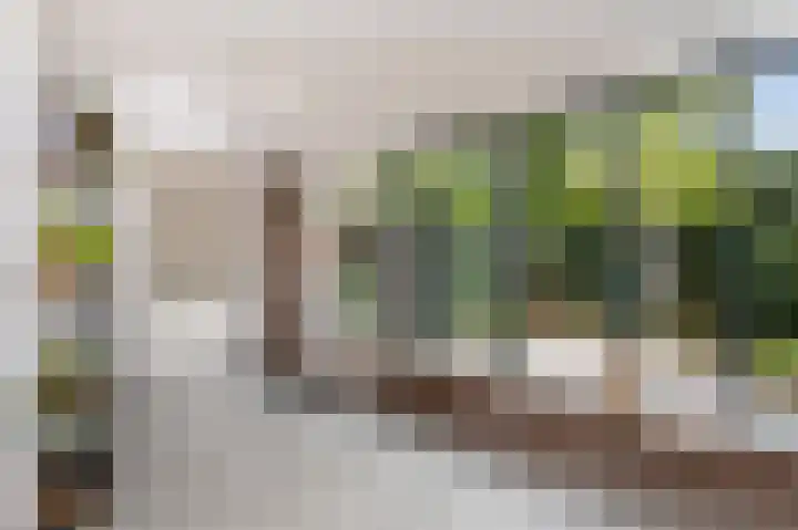 Kuppelkovenderstraat 40 Grevenbicht thumbnail 33