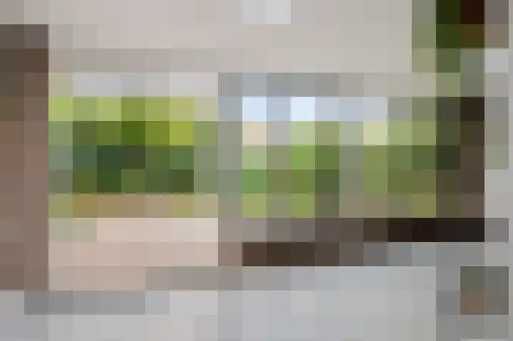 Kuppelkovenderstraat 40 Grevenbicht thumbnail 34