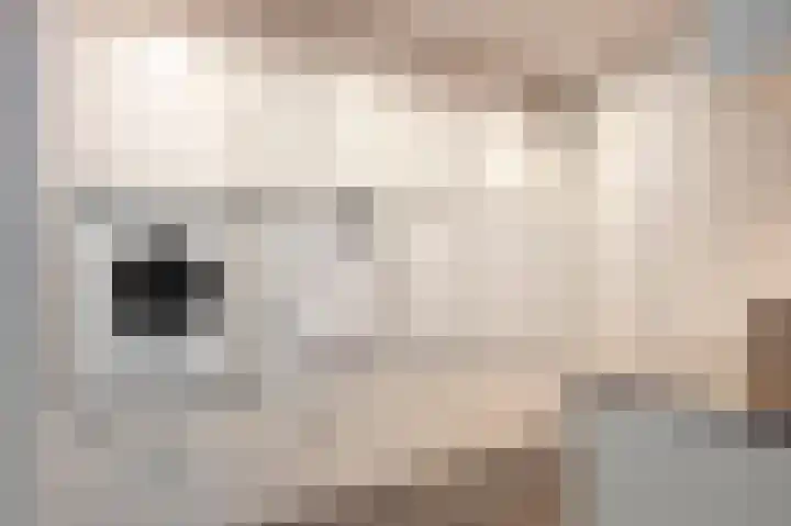 Kuppelkovenderstraat 40 Grevenbicht thumbnail 36