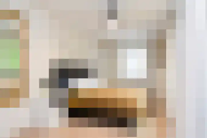 Kuppelkovenderstraat 40 Grevenbicht thumbnail 47