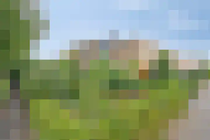 Kuppelkovenderstraat 40 Grevenbicht thumbnail 5