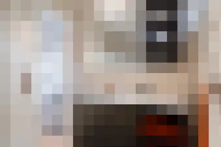 Kuppelkovenderstraat 40 Grevenbicht thumbnail 51