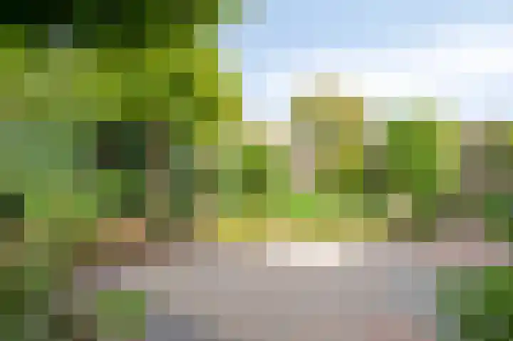 Kuppelkovenderstraat 40 Grevenbicht thumbnail 53