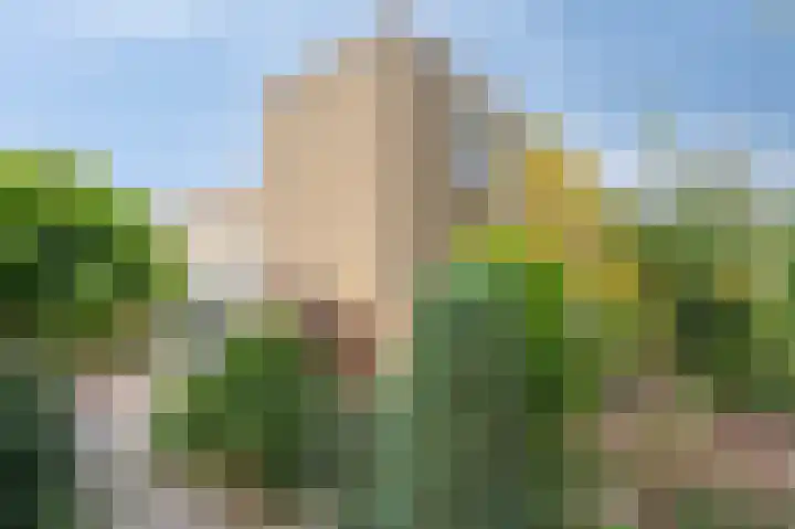 Kuppelkovenderstraat 40 Grevenbicht thumbnail 59
