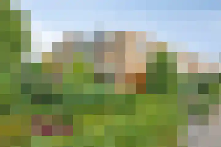 Kuppelkovenderstraat 40 Grevenbicht thumbnail 6