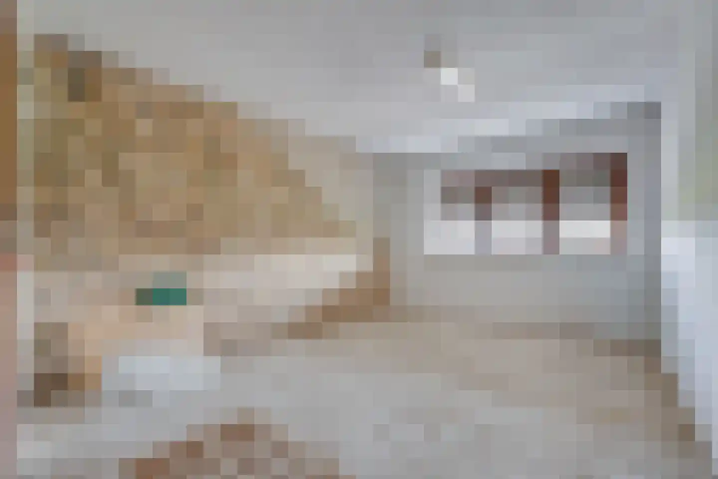 Kuppelkovenderstraat 75 Grevenbicht thumbnail 23