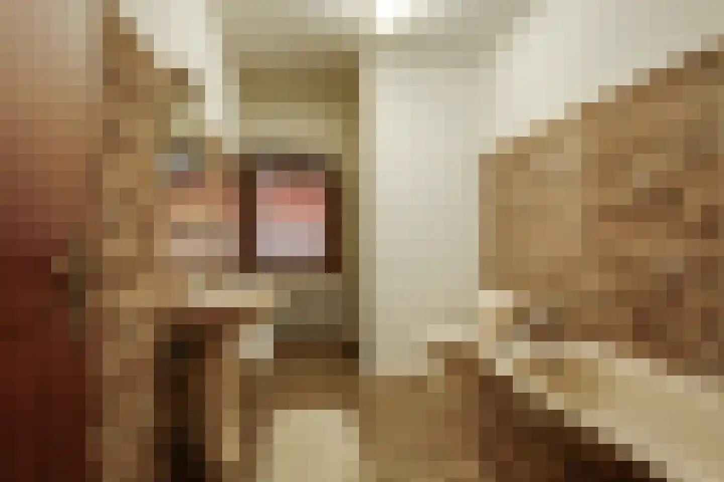 Kuppelkovenderstraat 75 Grevenbicht thumbnail 4