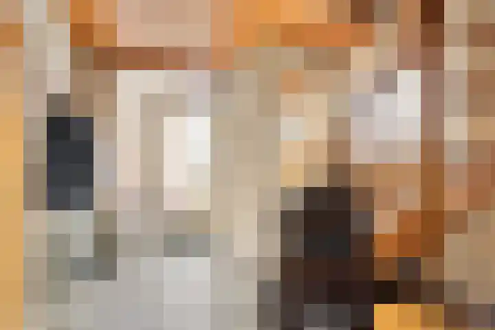 Kupstraat 16 Spaubeek thumbnail 7
