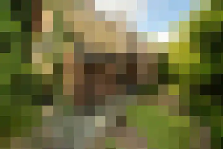 Kurenpolderweg 5 Hank thumbnail 32