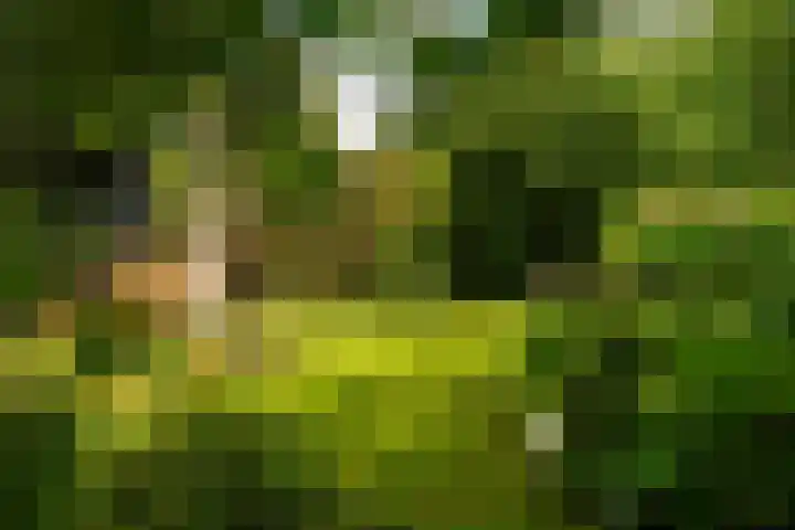 Kurenpolderweg 5 Hank thumbnail 33