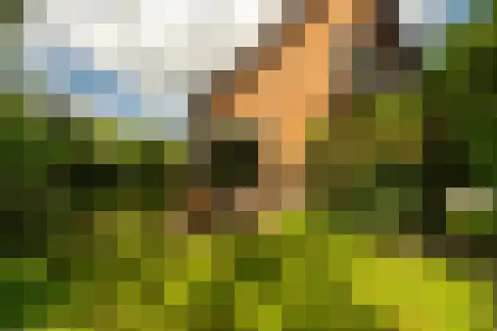 Kurenpolderweg 5 Hank thumbnail 34