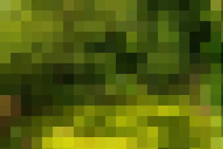 Kurenpolderweg 5 Hank thumbnail 35