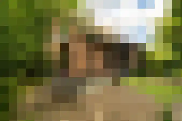 Kurenpolderweg 5 Hank thumbnail 36